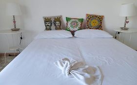 A Casa Di Alex
